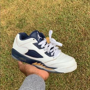 Jordan 5 Dunk From Above